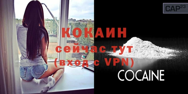 спайс Горняк
