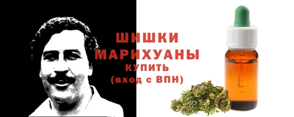 стаф Горнозаводск