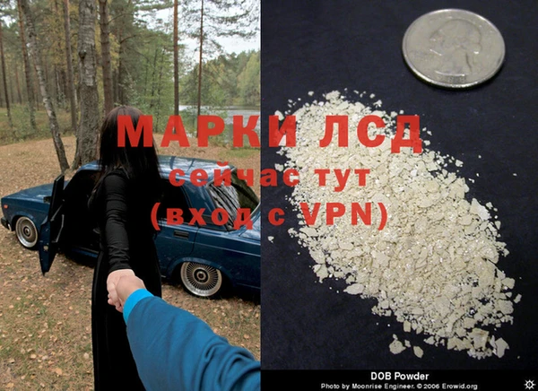 стаф Горнозаводск