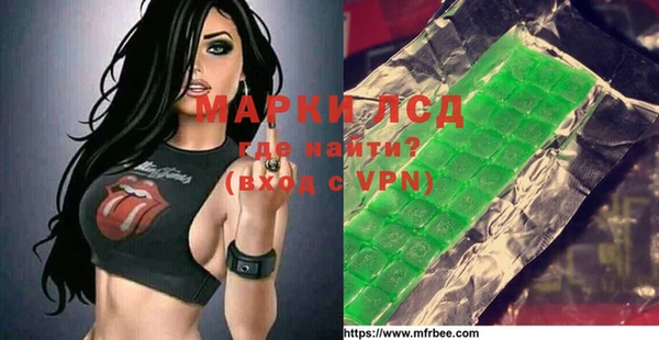 стаф Горнозаводск