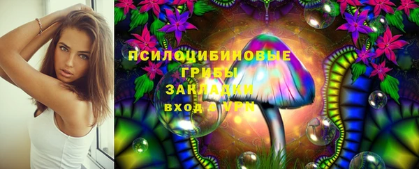 спайс Горняк