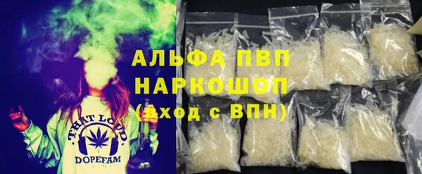 стаф Горнозаводск