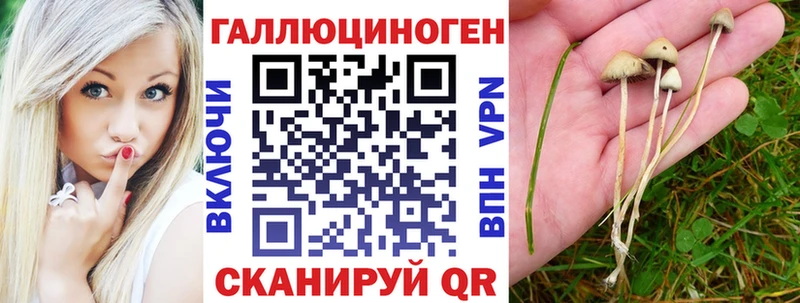 Купить закладки  Краснообск  Галлюциногенные грибы мицелий 
